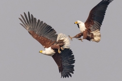 DSC3172websitenew200sharpen-2