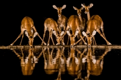 DSC0732-Edit-1new600-2