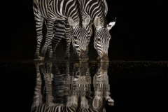 DSC9401-Editlightweb