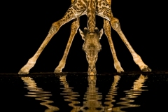 DSC9991-2-Editnew-600