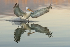 1_DSC2064website