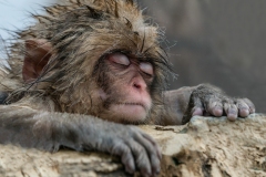 DSC7765-Editwebsite-1