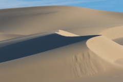 1_DSC0356website