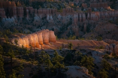 Bryce