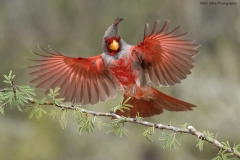 1_DSC0800-2website