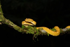 1_DSC0052website-2