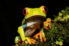 1_DSC0360website-2
