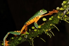 1_DSC0534website-2
