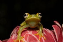 1_DSC0605website-2