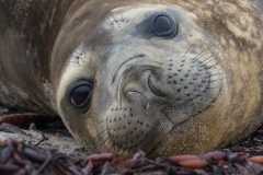 1_DSC8302website120-2