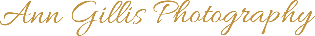 Ann Gillis Photography logo